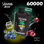 BANG-LEADER-STOLL-60000-60K-Zuege-mit-2-in-1-Switch-Einweg-Vapes-im-Grosshandel-10-768x768-1