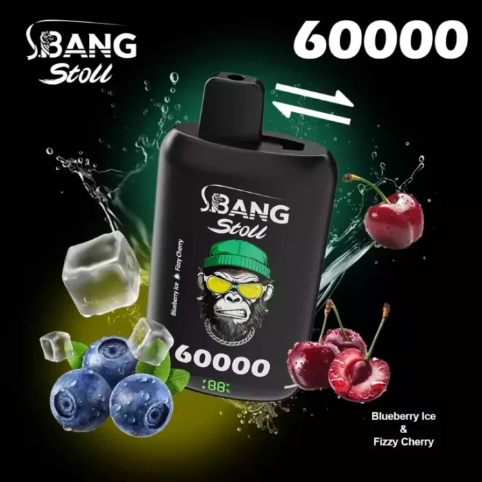BANG-LEADER-STOLL-60000-60K-Zuege-mit-2-in-1-Switch-Einweg-Vapes-im-Grosshandel-10-768x768-1