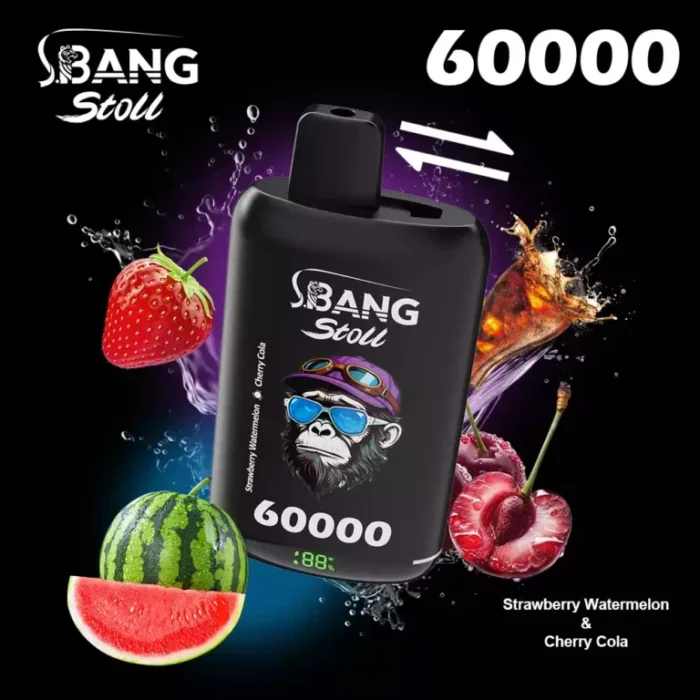 BANG-LEADER-STOLL-60000-60K-Zuege-mit-2-in-1-Switch-Einweg-Vapes-im-Grosshandel-11-768x768-1