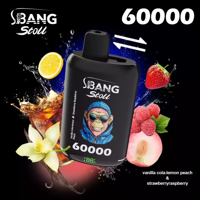 BANG-LEADER-STOLL-60000-60K-Zuege-mit-2-in-1-Switch-Einweg-Vapes-im-Grosshandel-7