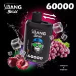 BANG-LEADER-STOLL-60000-60K-Zuege-mit-2-in-1-Switch-Einweg-Vapes-im-Grosshandel-8-768x768-1