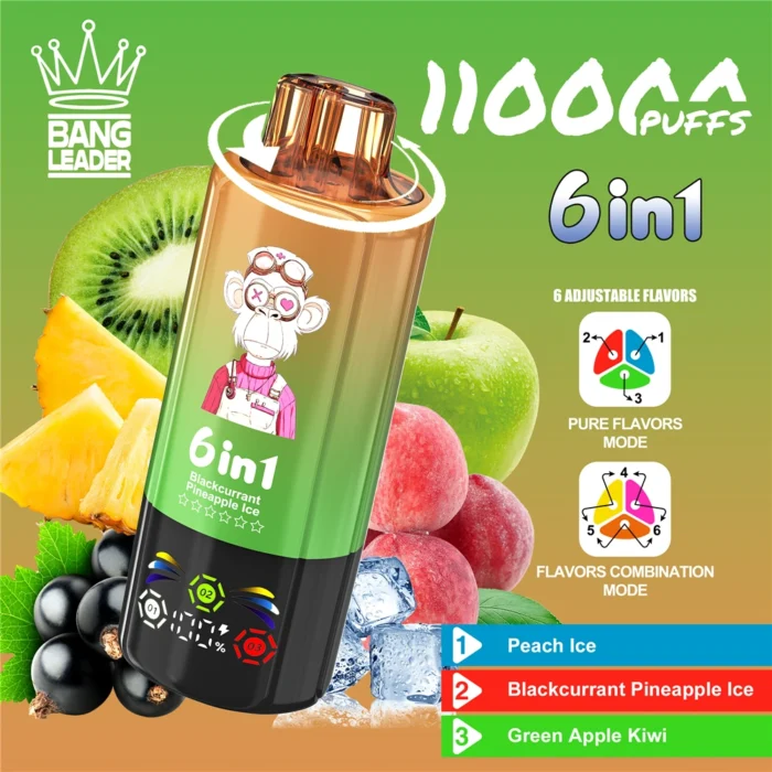 Bang-Leader-110000-Puffs-2025-Hot-Sale-Disposable-Vape