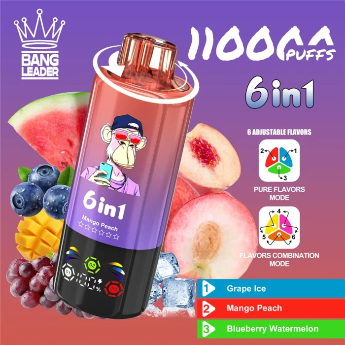Bang-Leader-110000-Puffs-6-flavors-Disposable-Vape