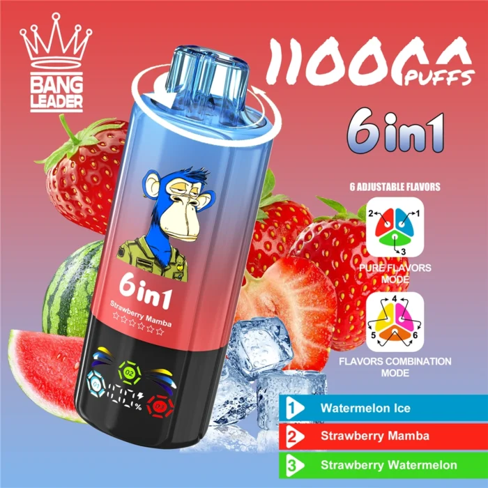 Bang-Leader-110000-Puffs-Disposable-Vape
