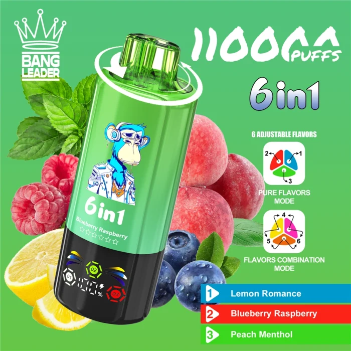 Bang-Leader-110000-Puffs-Disposable-Vape-Wholesale