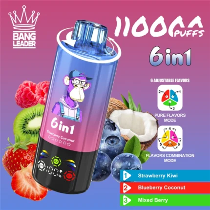 Bang-Leader-110000-Puffs-Rechargeable-Vape-Price
