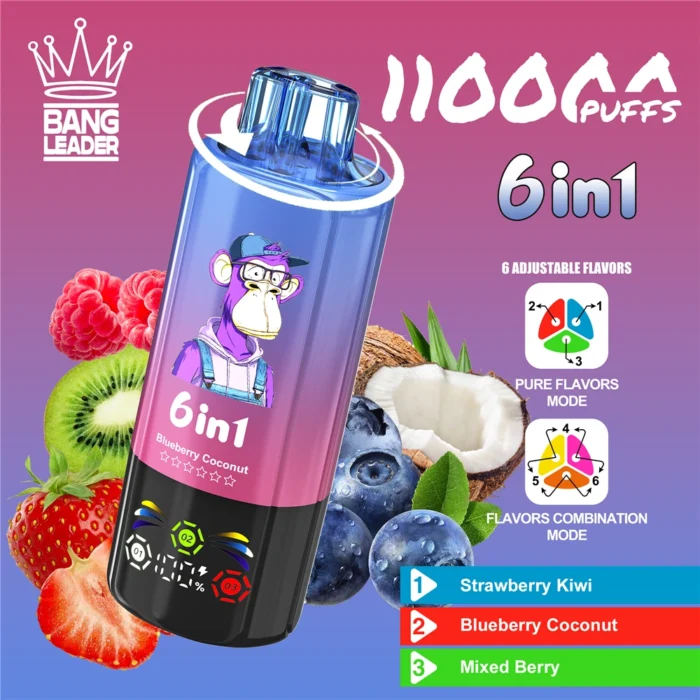 Bang-Leader-110000-Puffs-Rechargeable-Vape-Price