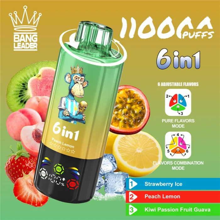 Bang-Leader-6in1-Flavor-110000-Puffs-Disposable-Vape