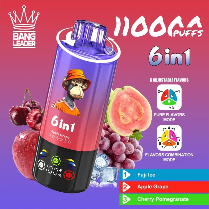 Bang-Leader-Disposable-Vape-110k-Puffs