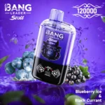 Bang-Leader-Stoll-120k-Puffs-Blueberry-Ice-Black-Currant