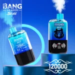 Bang-Leader-Stoll-120k-Puffs-Product-sub-image