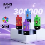 Bang_leader_stoll_300000_puffs_vape1