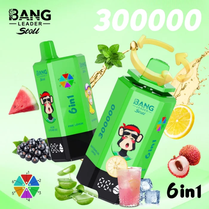 Bang_leader_stoll_300000_puffs_vape_AloeLycheeIce_PinkLemon_GlacierIce_PineNeedleMint_BlackCurrantIce_WatermelonLemon