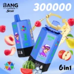 Bang_leader_stoll_300000_puffs_vape_watermelonice_mixedberries_applepear_blueberrymint_summertime_peach