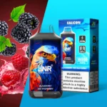 JNR-Falcon-16000-Puffs-Blackberry-Red-Raspberry