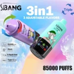 bang-leader-85000