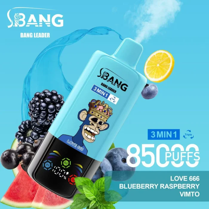 Bang Leader 85K – 15 zestawów smakowych 3w1 - obrazek 6