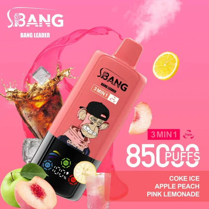 Bang Leader 85K – 15 zestawów smakowych 3w1 - obrazek 8