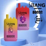 vape-bang-leader-80000-80k-puffs-main-picture