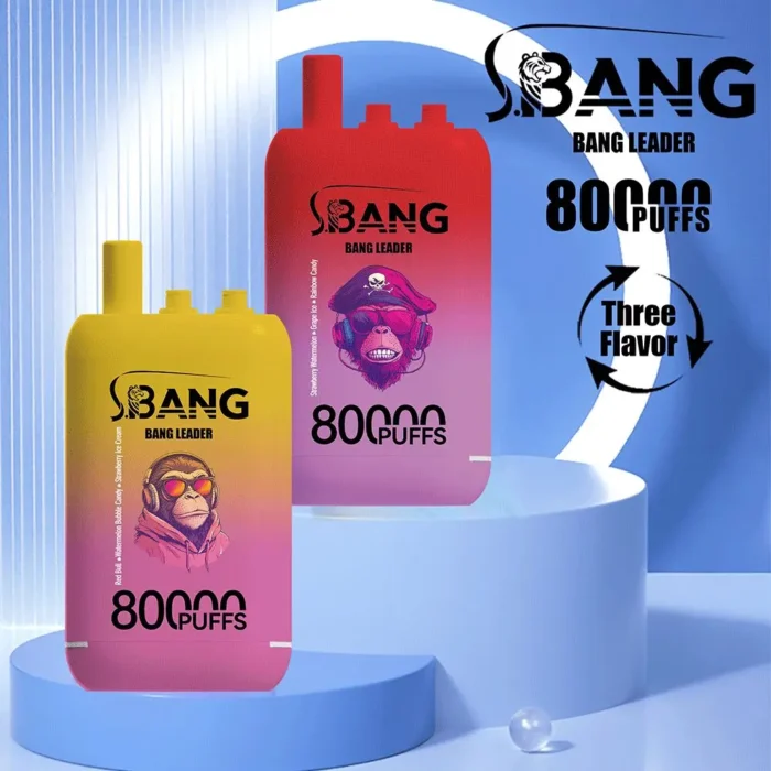vape-bang-leader-80000-80k-puffs-main-picture